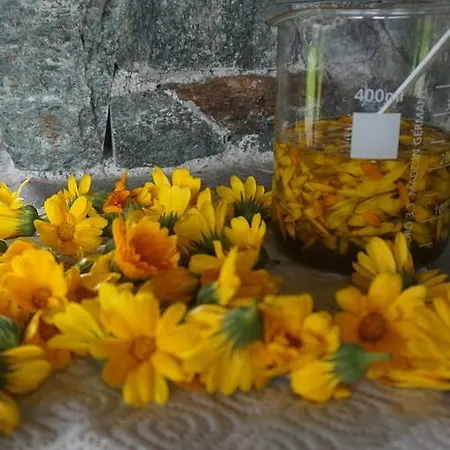 Çiftlik konaklama Herzoghof *